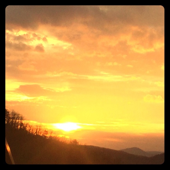 Meet your Posher, Besty b - Picture 1 of 1